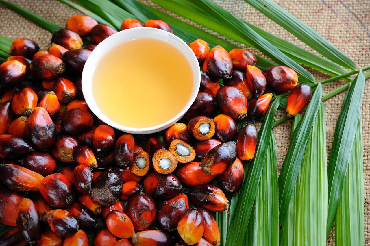 Palm oil