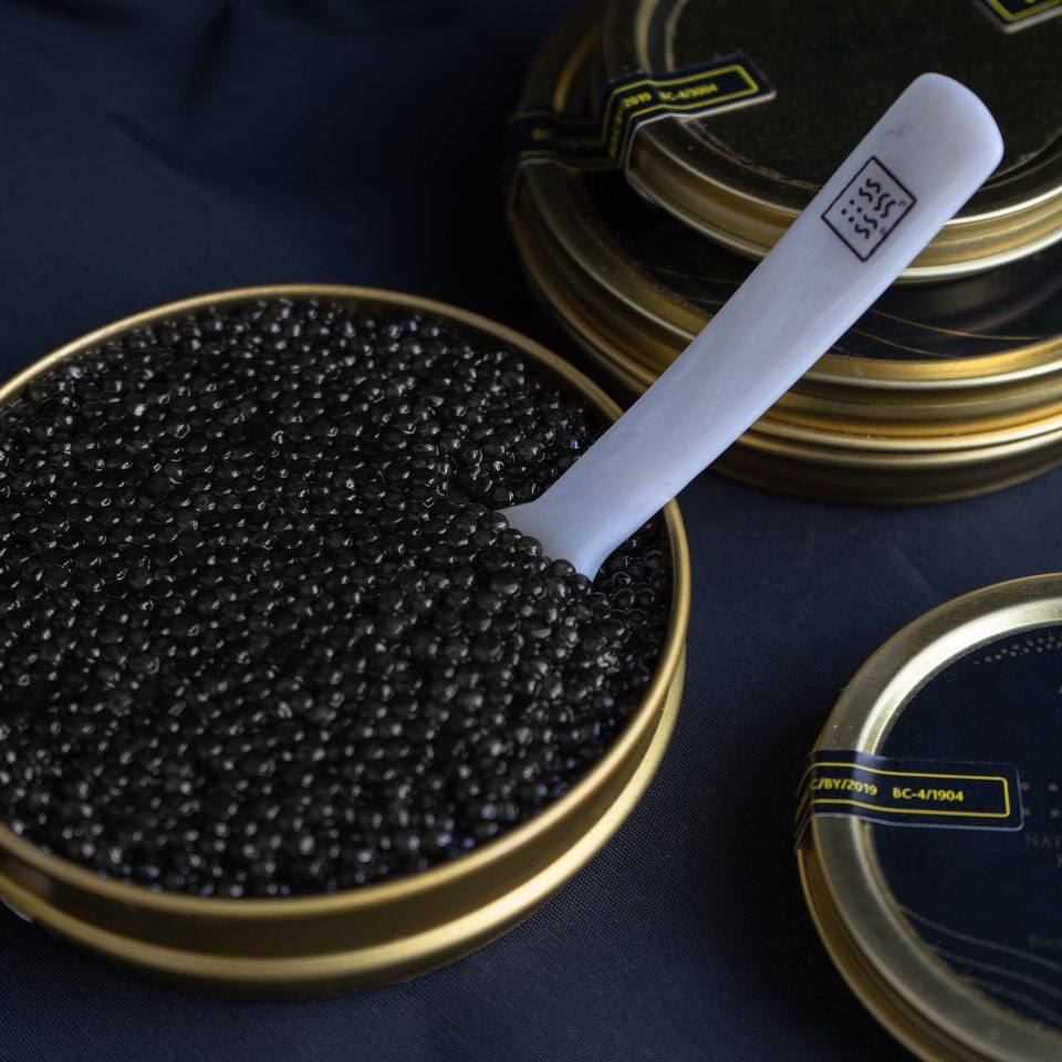 Black Caviar