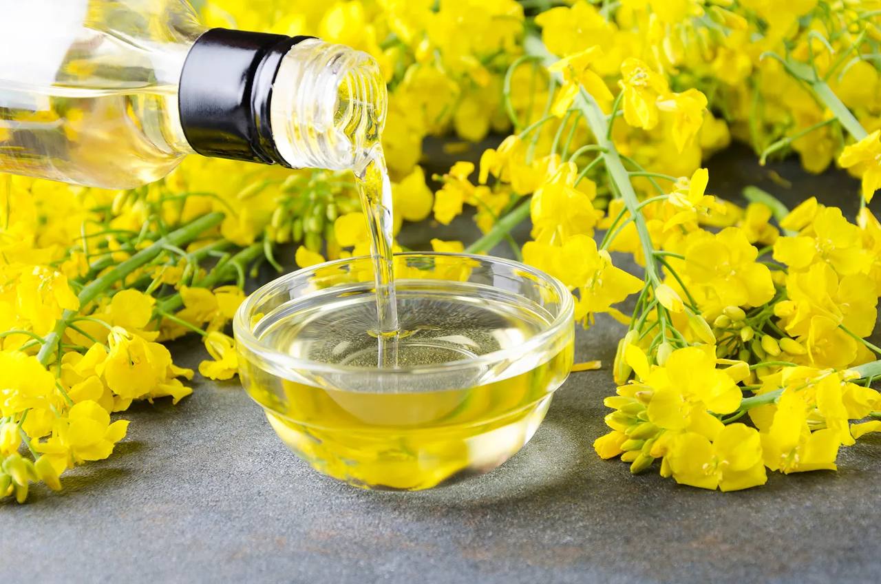 Rapeseed oil