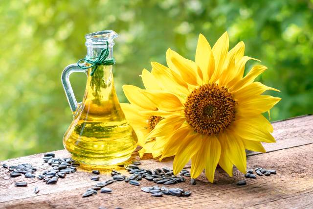 Sunflower oil